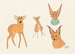 cinderdmutt:  Dik-Dik and Caracal