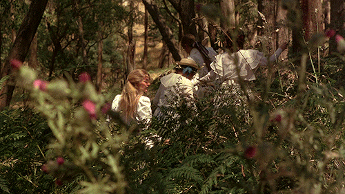 davidlynch:Waiting a million years… just for us.Picnic at Hanging Rock (1975) dir.