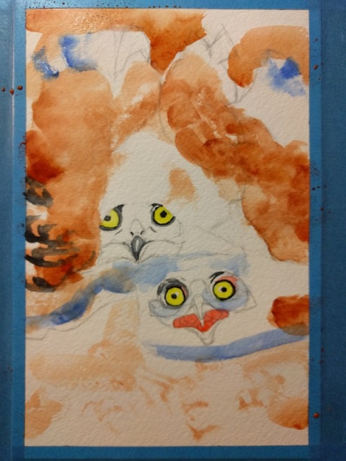 Great Horned Owlets Threat Display Watercolor for 270° by Maggie UmberI’ll be tabling with @ionafox 