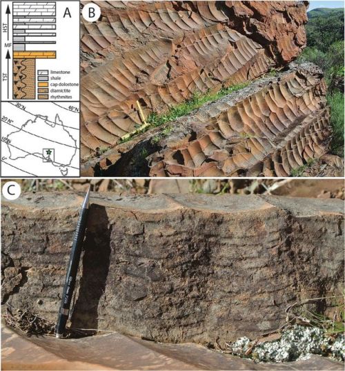 Then the Earth Melted Between 800 and 650 million years ago, there is evidence in the geologic recor