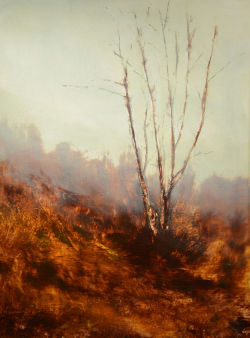 Maurice SapiroThe Old Apple Orchard