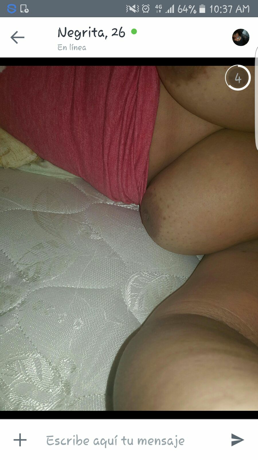 bellakeo 100x35