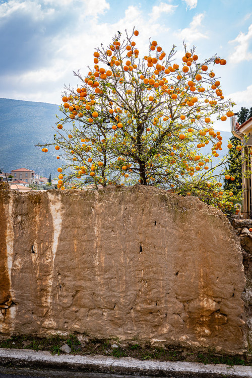 ioannisdg: Chrisso, Chryso, Phocis, Greece