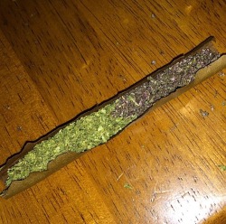 emmaxlue:  Half blue dream half purp