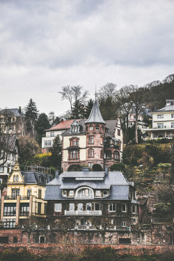 convexly:  heidelberg mansions by ivvy million