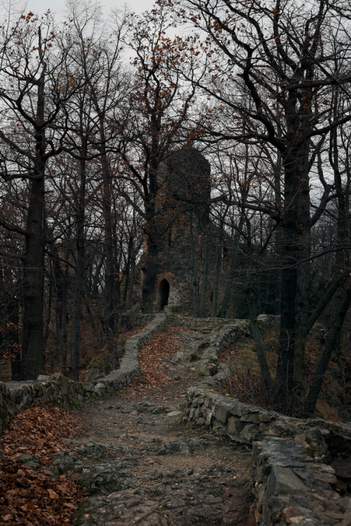 mysticjones:Beware of the Ruins! by Przemysław PielaWałbrzych, Poland