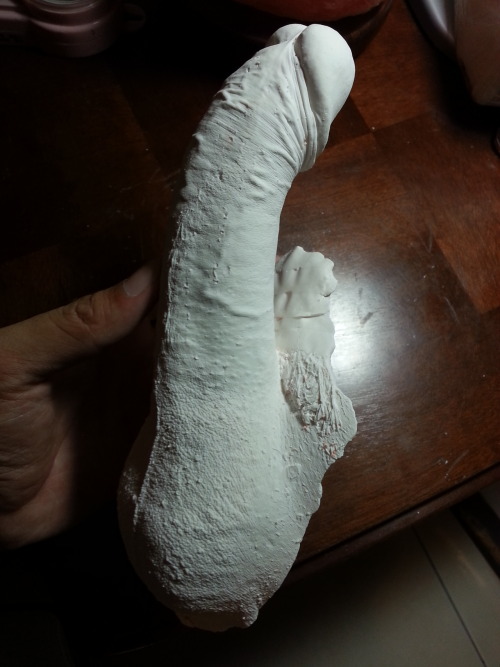 flyingair ‘s erect penis (gypsum)
