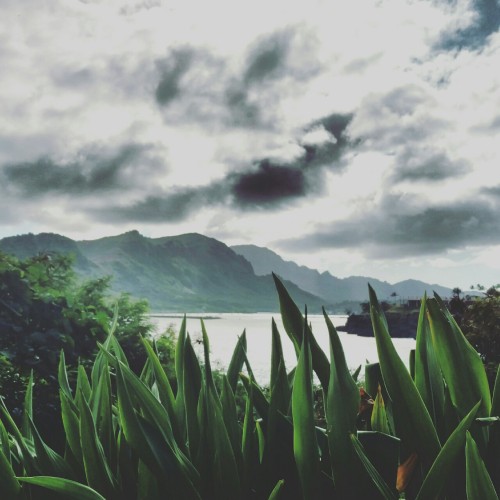 naturemana:©  CeeCeeLove ∆ 2016