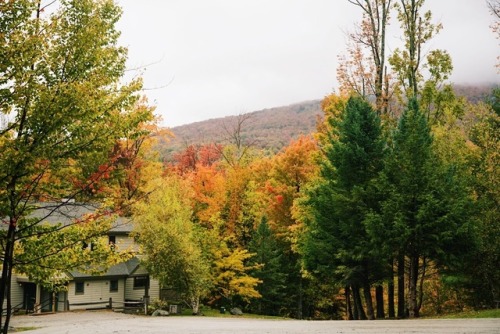 Can you believe how fast the fall colors change &amp; drop? It never ceases to amaze me. 