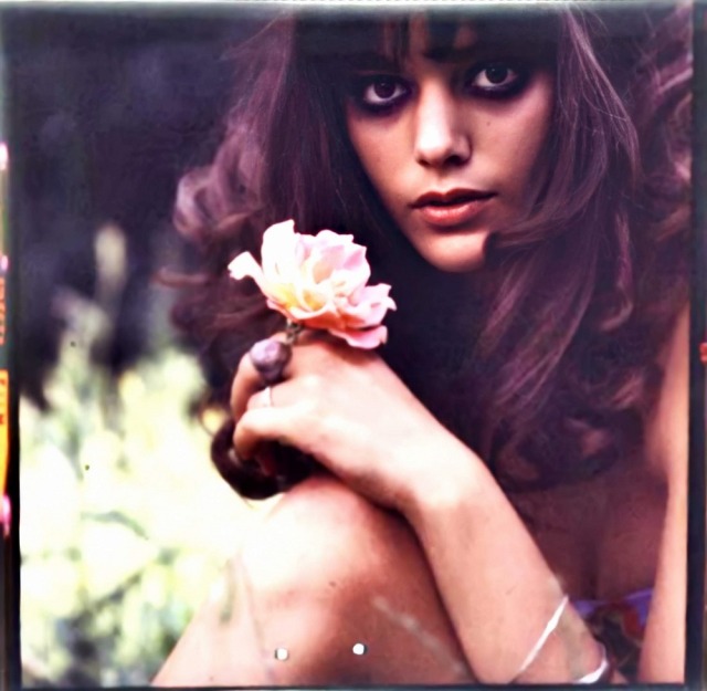 🌸Flower Beauty🌸
🌸Tina Aumont pictured by Chiara Samugheo in Spring 1968🌸
💗These photos are courtesy 