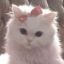 livsbl0gxoxo