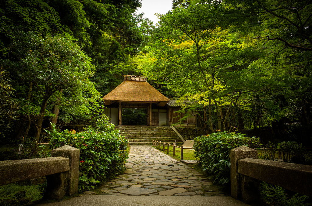 papalagiblog:  Temples in Kyoto. Images by Flickr user Marservia http://landscapefocused.tumblr.com