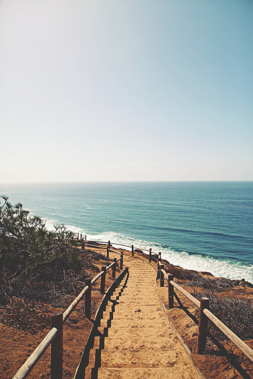 wanderlust