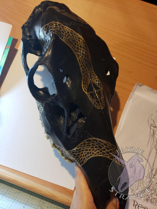 jaynestrange:A WIP of a skull I’m working on. Thinking of adding floral elements or such.