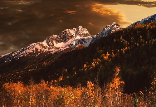 Porn landscapelifescape:  Alaska, USA  by Carlos photos