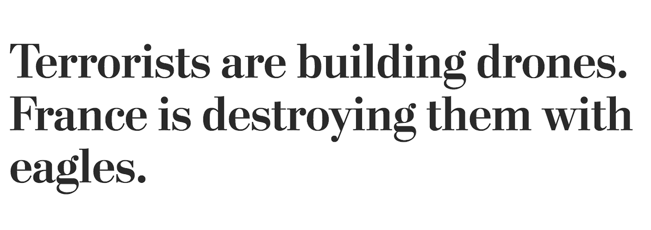 art-nimals:  this has got to be the greatest headline 