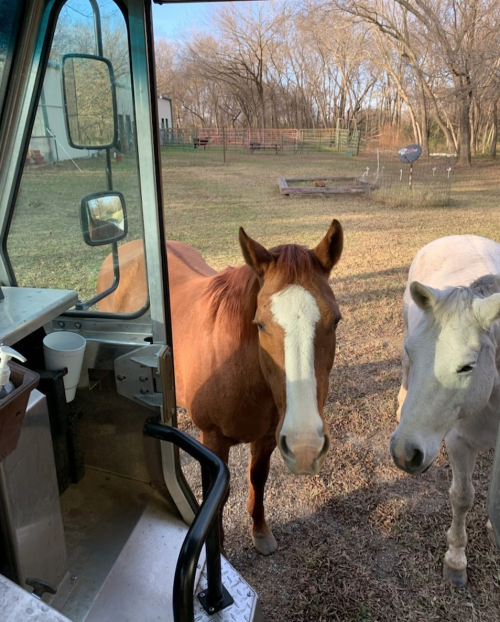 This picture was taken by Mark, a friend who works a rural route near Inola, OK (Tulsa area center).