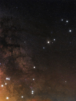    Antares star and Scorpius Constellation