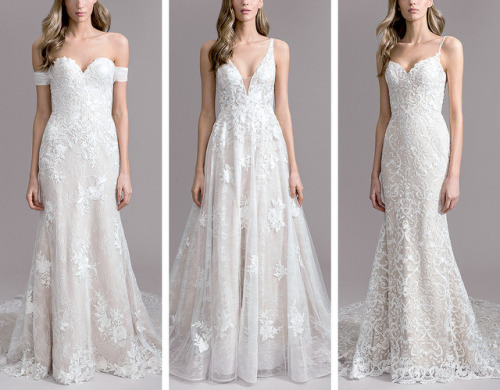 Ti Adora Fall 2019 Bridal Collection