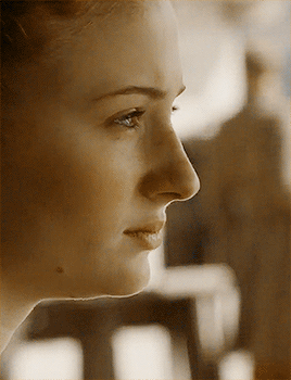 lovableamy:  The northern girl. Winterfell’s daughter.  2k celebration: for @goodqueenalys​