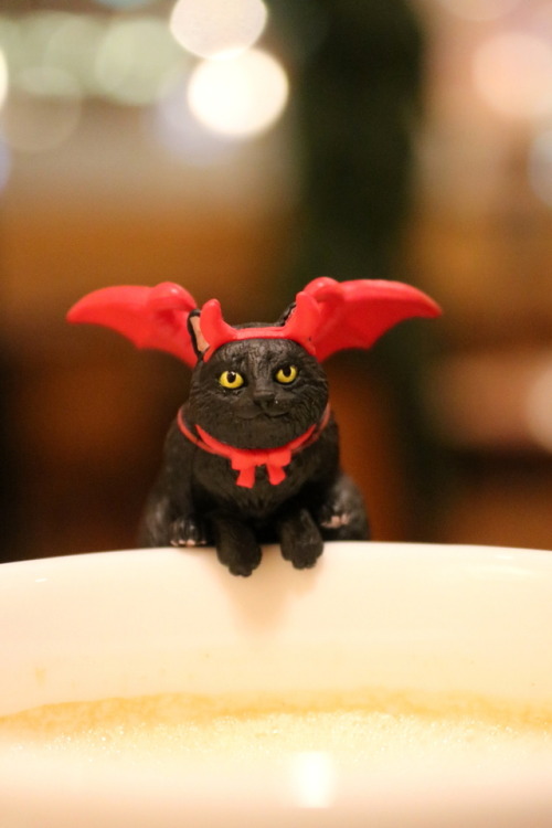 boschintegral-photo:Happy Halloween!Café Chat Noir, Kyoto, Japan