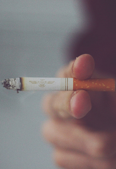jvsxooxo:  JVSXOOXO:  `I FOLLOW BACK, MY BLOG, MY WORLD, MY DREAMS, MY LOVE…. 