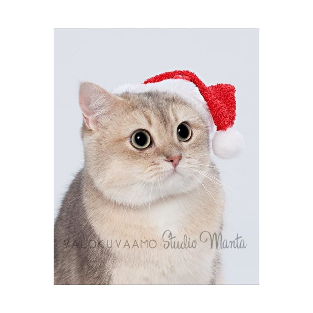 Sassy Santa BABY!