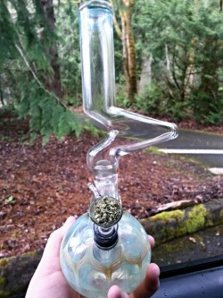 cannabutch:  zongy zong ★