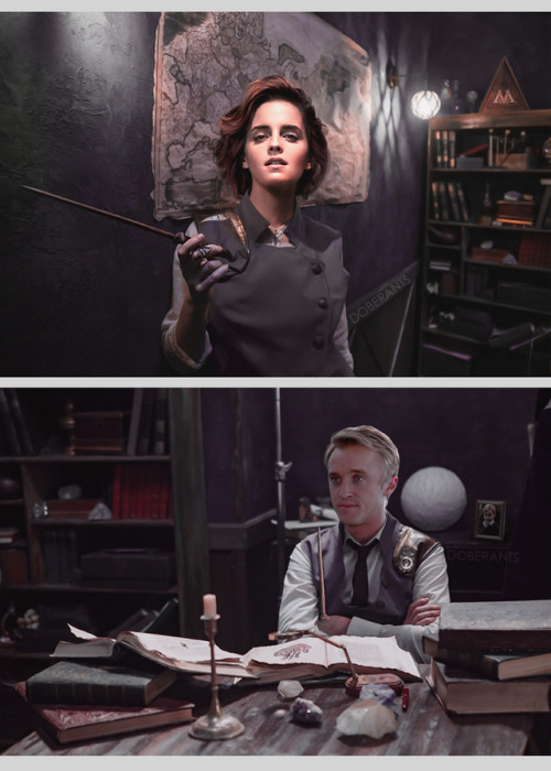 doberants: Draco and Hermione working together in the Ministry of Magic.