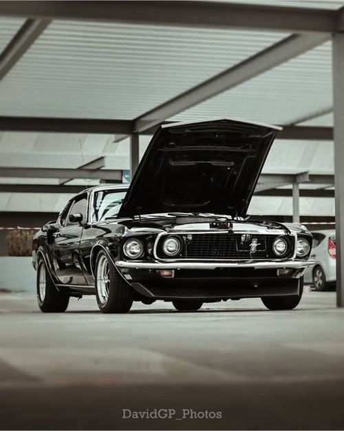 ‘69 Ford Mustang Fastback shot by @davidgp_photos#musclecarspictures #v8 #classiccar #car #photogr