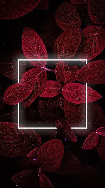 WALLPAPERS LED | DÊ LIKE!