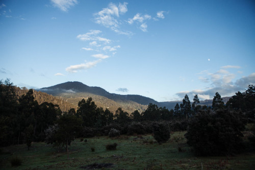 I got to spend last weekend in Tasmania shooting for a book project in my favourite cabin in Tasmani