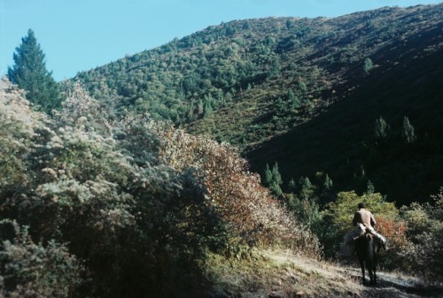 Road to somewhere - Kodak Ektar, Minolta Dynax 5000i - Aba, Sichuan - October 2017