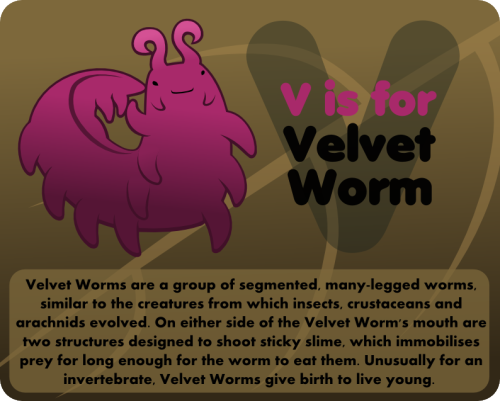 V is for cute little worm.
