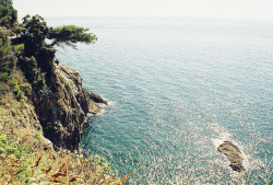 arquerio:  Cinque Terre by Idiot’s dream on Flickr. 