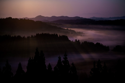 90377:foggy morning by yosuke