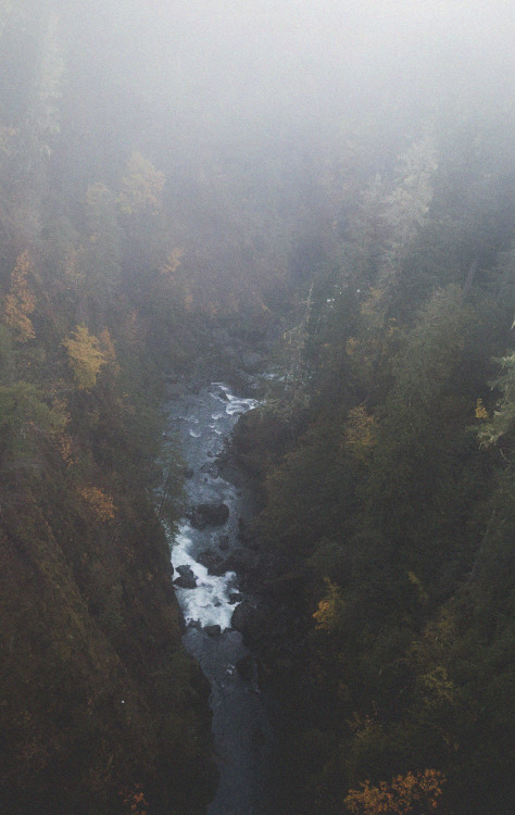 rhiannahowardphotography:Vance Creek, Washington