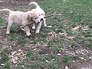 thenatsdorf:  Branch managers. [full video]