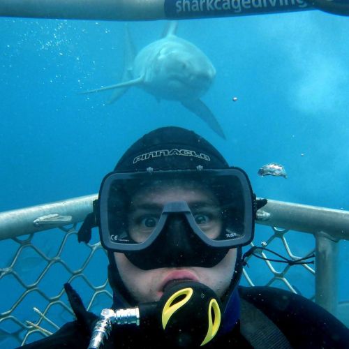 Hey there is a shark behind you! This photo was taken in October 2014.Yesterday’s trip did not see