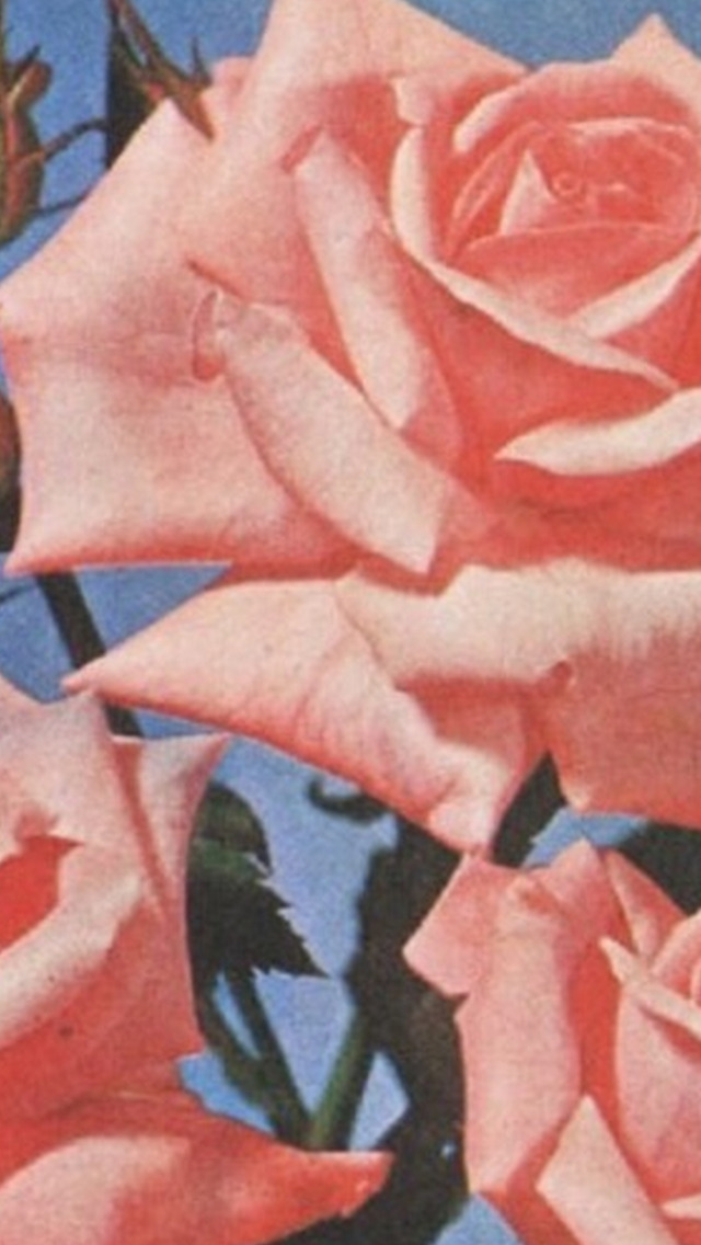 wholepapers:  70′s