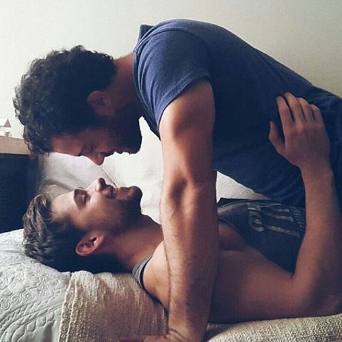 Gay Boys Mind
