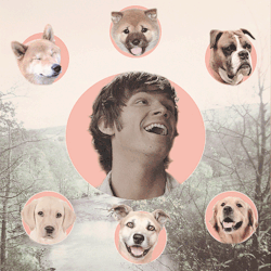 queenabaddon:  cas with cats / dean with pie