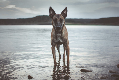 tempurafriedhappiness:Trinidad Lake State Park, Trinidad, Colorado.