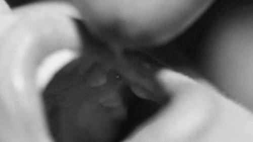 Quality Porn Pictures