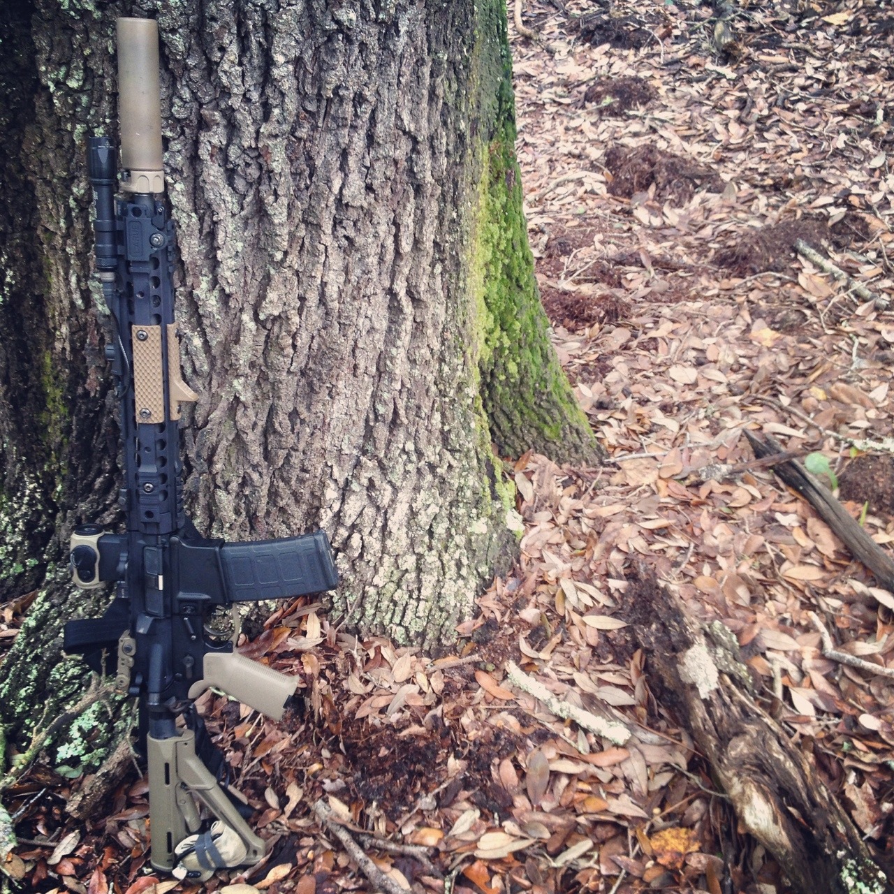 silencersteve:  Hog hunting 
