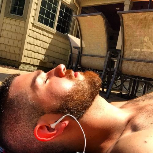 puff-to-tuff:  Fact: beards need sun to grow porn pictures