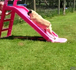 orbo-gifs:  PERSISTENCE. 
