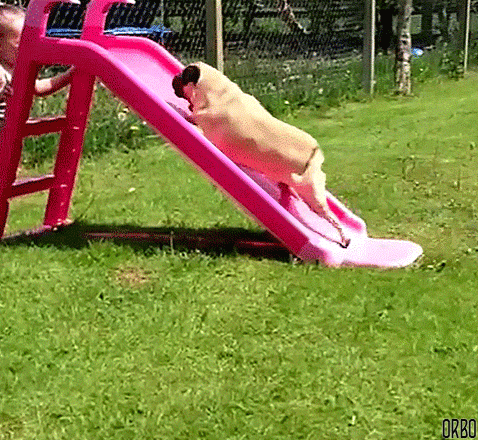 orbo-gifs:  PERSISTENCE. 