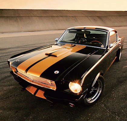 Muscle Cars Fans