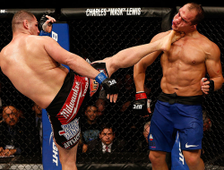 Endurefighting:  Ufc 155 Velasquez Vs Dos Santos  That&Amp;Rsquo;S A Sick Shot.